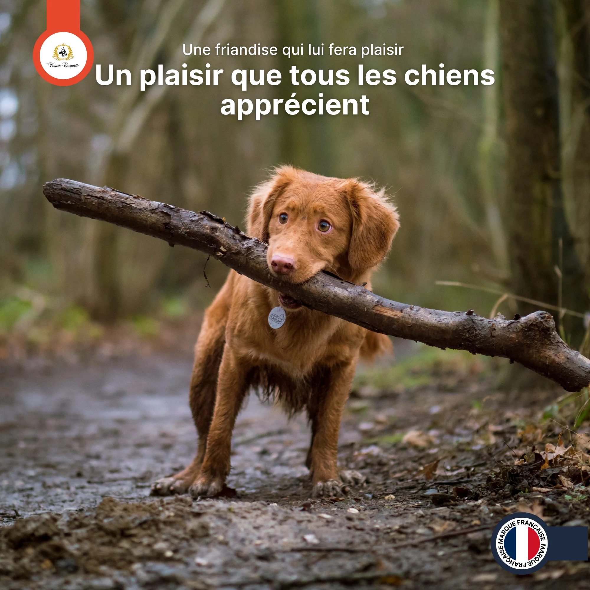 Image du produit 7