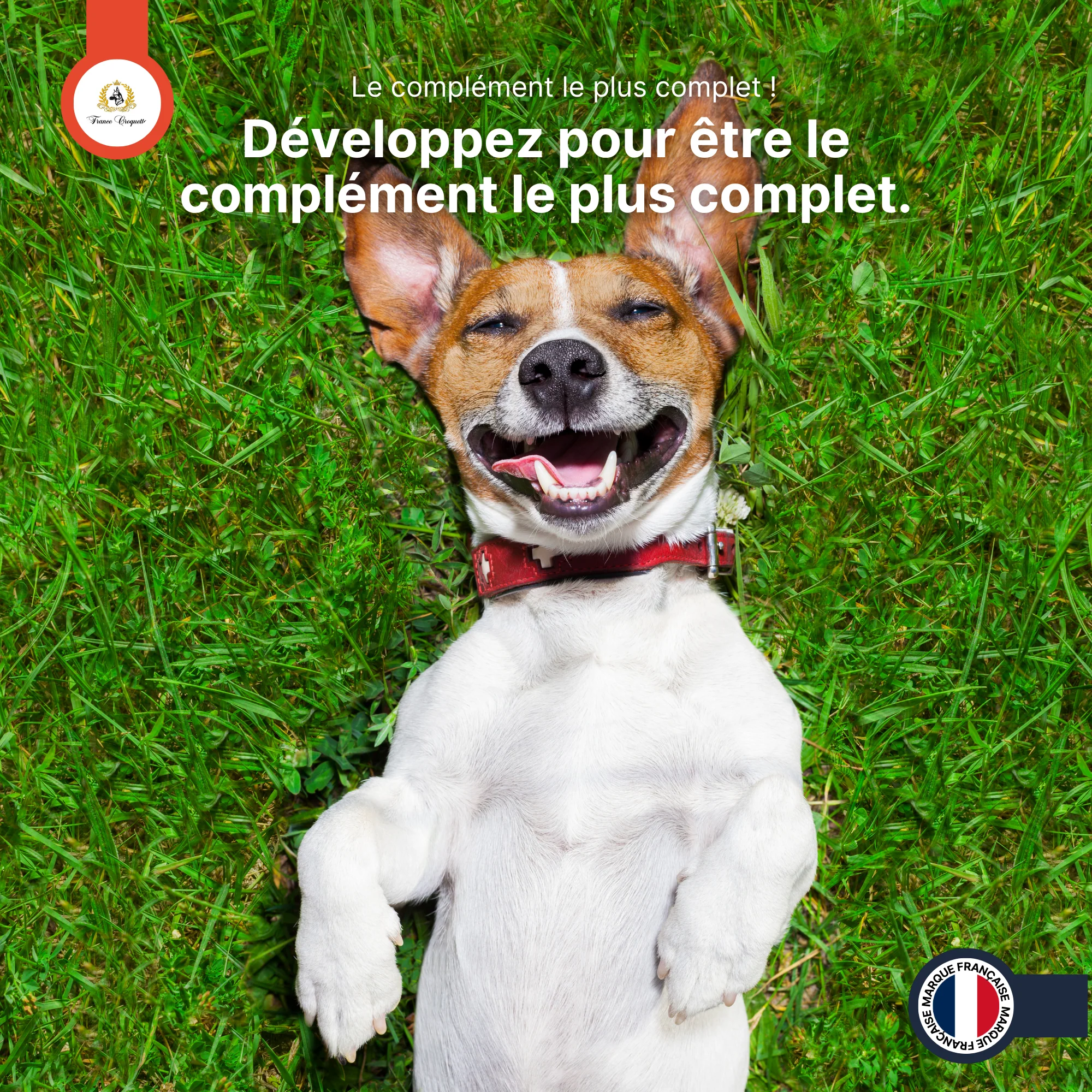Image du produit 7